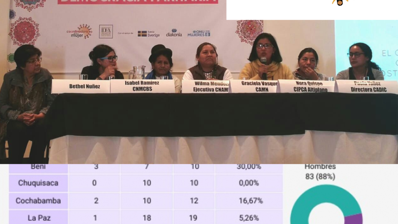 Coordinadora de la Mujer Bolivia